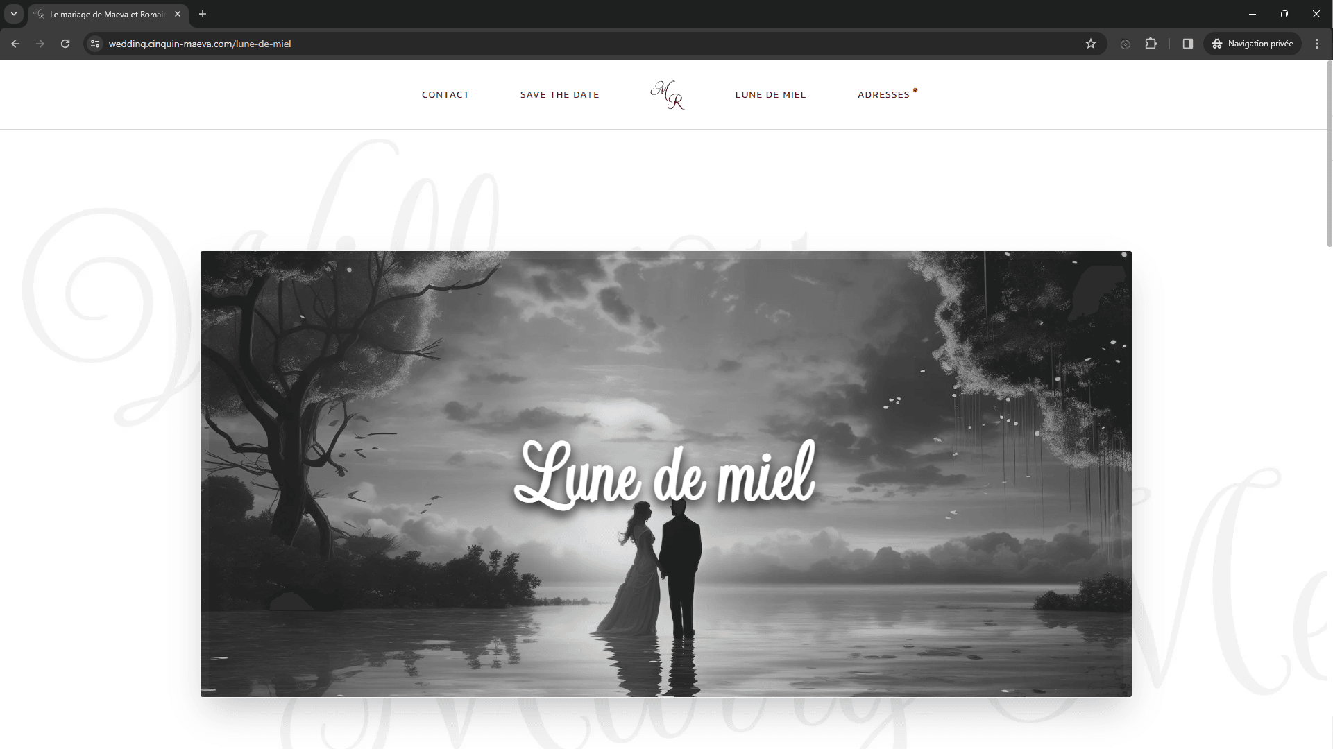 Silhouetted couple standing by water with dramatic sky, tree, and birds, 'Lune de miel' written in center