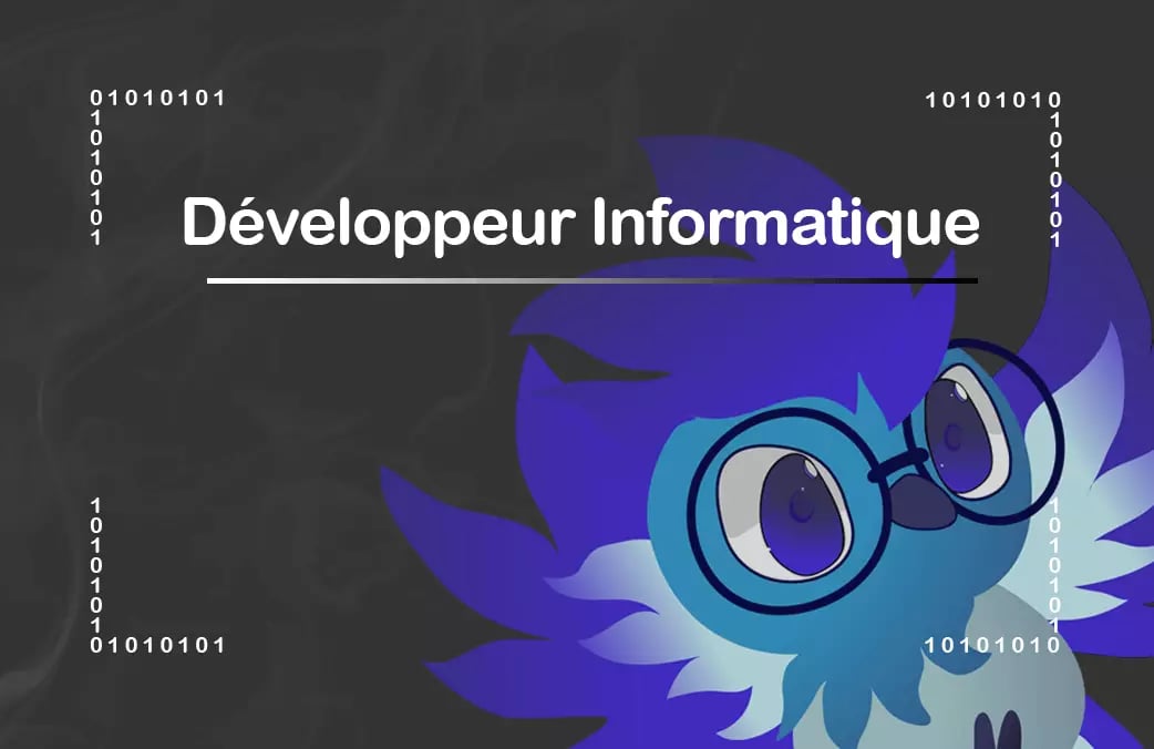 Cartoon owl with glasses peering over 'Développeur Informatique' text, with binary code background.