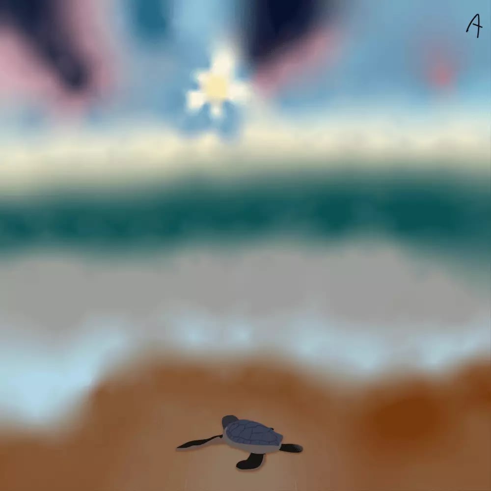 Illustration of a baby sea turtle on a sandy beach moving towards the water with blurred sky in background