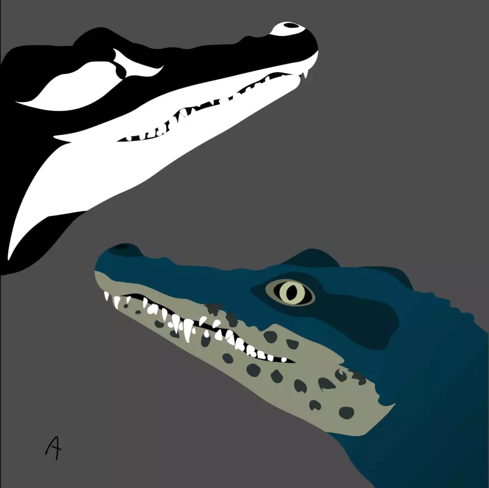 Stylized illustration of an orca and crocodile facing left with jaws slightly ajar on grey background