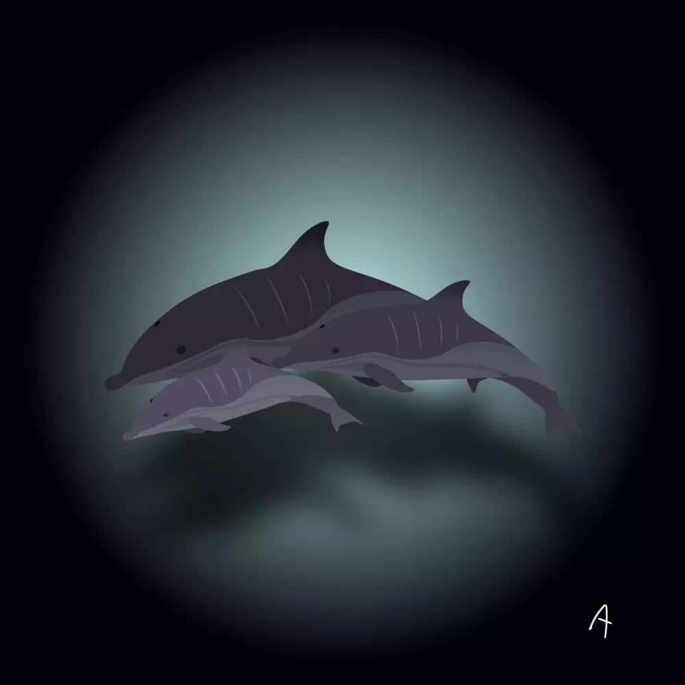Two stylized dolphins swimming gracefully underwater in a circular spotlight