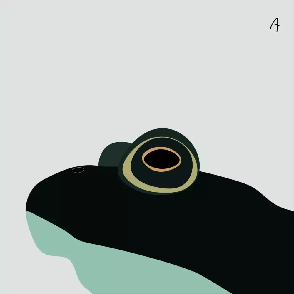 Simplified graphic illustration of a frog with a large eye on a light background