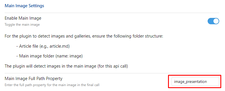 Computer interface displaying Main Image Settings with enable option and full path property field highlighted in red box