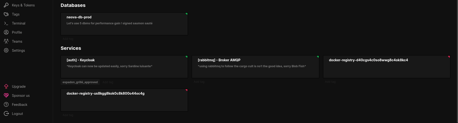 Dark theme user interface of a software platform showcasing database management and service configuration sections, including options for Keys, Tokens, Tags, Terminal, Profile, Teams, and Settings.
